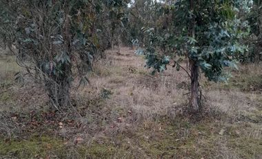 VENDO HERMOSO TERRENO FRENTE RIO TOLTEN