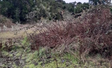 VENDO HERMOSO TERRENO FRENTE RIO TOLTEN