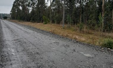 VENDO HERMOSO TERRENO FRENTE RIO TOLTEN