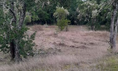 VENDO HERMOSO TERRENO FRENTE RIO TOLTEN