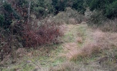 VENDO HERMOSO TERRENO FRENTE RIO TOLTEN