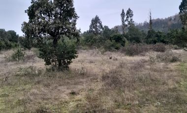VENDO HERMOSO TERRENO FRENTE RIO TOLTEN
