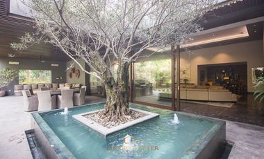 Casa en Renta en la Colonia Seattle con alberca y elevador moderna