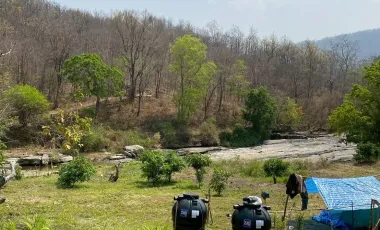 Land for sale in Ban Luang, Chiang Mai