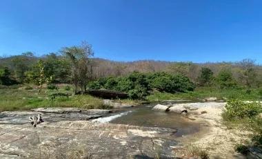 Land for sale in Ban Luang, Chiang Mai