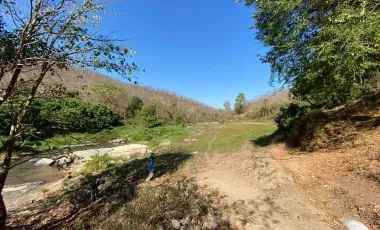 Land for sale in Ban Luang, Chiang Mai