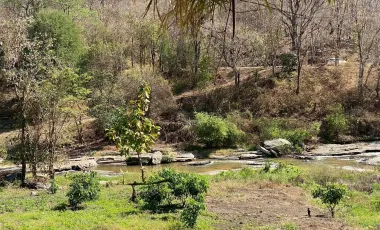 Land for sale in Ban Luang, Chiang Mai