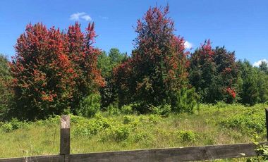 Parcela en venta en VALDIVIA