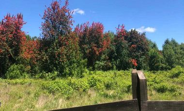 Parcela en venta en VALDIVIA