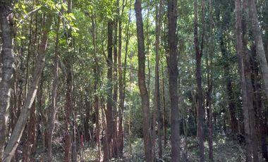 Parcela en venta en PUERTO MONTT