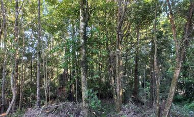 Parcela en venta en PUERTO MONTT