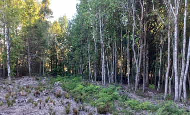 Parcela en venta en PUERTO MONTT