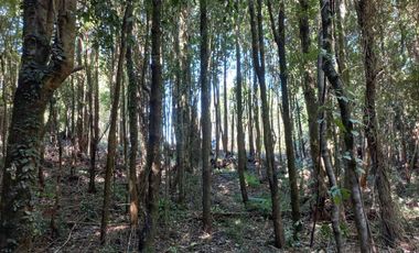 Parcela en venta en PUERTO MONTT