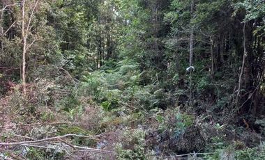 Parcela en venta en PUERTO MONTT