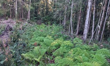 Parcela en venta en PUERTO MONTT