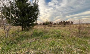 PARCELA CON CASA CAMINO A CERRO COLORADO LOS ÁNGELES