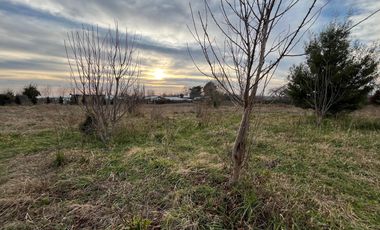 PARCELA CON CASA CAMINO A CERRO COLORADO LOS ÁNGELES