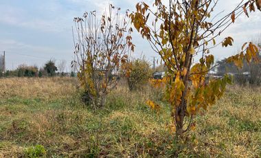 PARCELA CON CASA CAMINO A CERRO COLORADO LOS ÁNGELES