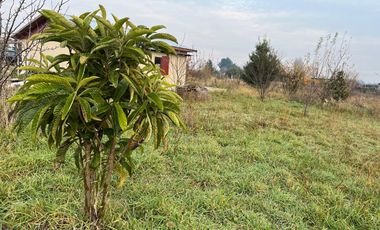 PARCELA CON CASA CAMINO A CERRO COLORADO LOS ÁNGELES