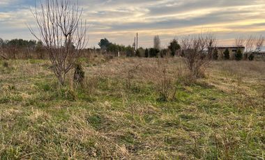 PARCELA CON CASA CAMINO A CERRO COLORADO LOS ÁNGELES
