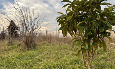 PARCELA CON CASA CAMINO A CERRO COLORADO LOS ÁNGELES