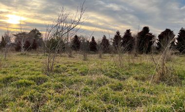PARCELA CON CASA CAMINO A CERRO COLORADO LOS ÁNGELES