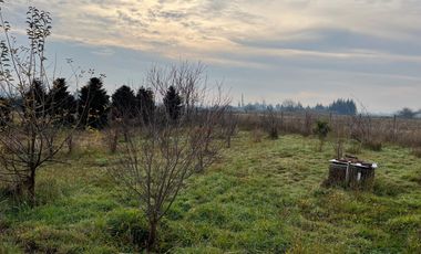 PARCELA CON CASA CAMINO A CERRO COLORADO LOS ÁNGELES