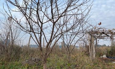 PARCELA CON CASA CAMINO A CERRO COLORADO LOS ÁNGELES