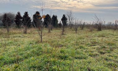 PARCELA CON CASA CAMINO A CERRO COLORADO LOS ÁNGELES