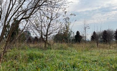 PARCELA CON CASA CAMINO A CERRO COLORADO LOS ÁNGELES