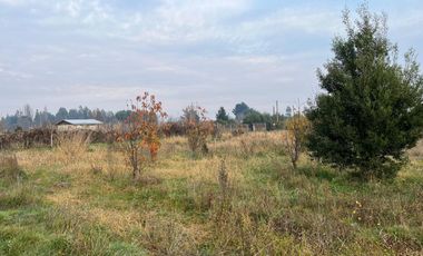 PARCELA CON CASA CAMINO A CERRO COLORADO LOS ÁNGELES