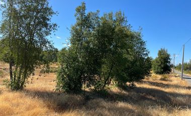 PARCELAS CON AGUA POTABLE,  EMPALME ELECTRICO  Y ACCESO A RÍO BIOBÍO