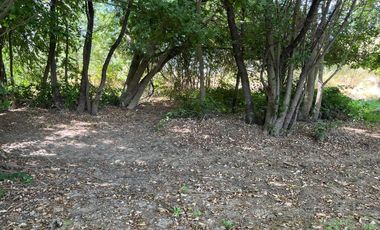PARCELAS CON AGUA POTABLE,  EMPALME ELECTRICO  Y ACCESO A RÍO BIOBÍO