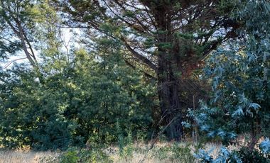 PARCELAS CON AGUA POTABLE,  EMPALME ELECTRICO  Y ACCESO A RÍO BIOBÍO