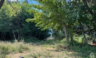 PARCELAS CON AGUA POTABLE,  EMPALME ELECTRICO  Y ACCESO A RÍO BIOBÍO