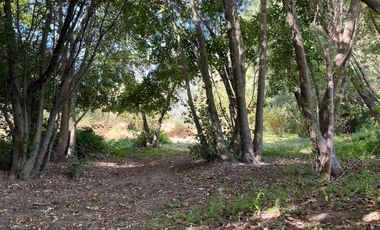 PARCELAS CON AGUA POTABLE,  EMPALME ELECTRICO  Y ACCESO A RÍO BIOBÍO