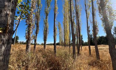 PARCELAS CON AGUA POTABLE,  EMPALME ELECTRICO  Y ACCESO A RÍO BIOBÍO