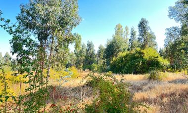 PARCELAS CON AGUA POTABLE,  EMPALME ELECTRICO  Y ACCESO A RÍO BIOBÍO