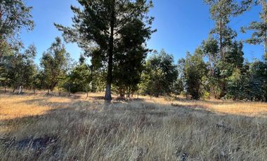 PARCELAS CON AGUA POTABLE,  EMPALME ELECTRICO  Y ACCESO A RÍO BIOBÍO