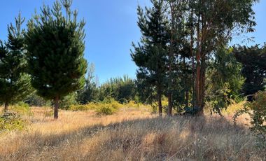 PARCELAS CON AGUA POTABLE,  EMPALME ELECTRICO  Y ACCESO A RÍO BIOBÍO