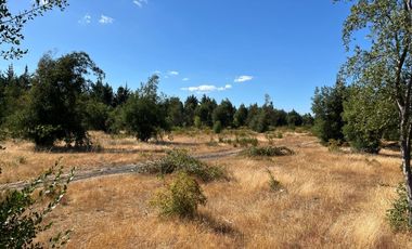 PARCELAS CON AGUA POTABLE,  EMPALME ELECTRICO  Y ACCESO A RÍO BIOBÍO