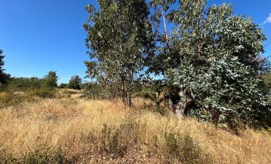 PARCELAS CON AGUA POTABLE,  EMPALME ELECTRICO  Y ACCESO A RÍO BIOBÍO
