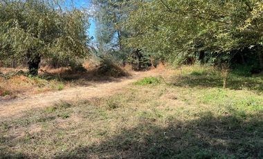 PARCELAS CON AGUA POTABLE,  EMPALME ELECTRICO  Y ACCESO A RÍO BIOBÍO