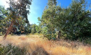 PARCELAS CON AGUA POTABLE,  EMPALME ELECTRICO  Y ACCESO A RÍO BIOBÍO