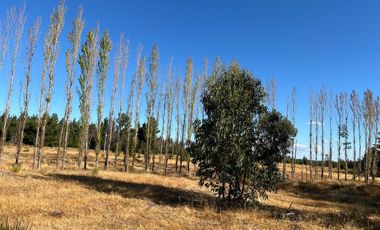 PARCELAS CON AGUA POTABLE,  EMPALME ELECTRICO  Y ACCESO A RÍO BIOBÍO