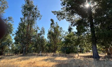 PARCELAS CON AGUA POTABLE,  EMPALME ELECTRICO  Y ACCESO A RÍO BIOBÍO