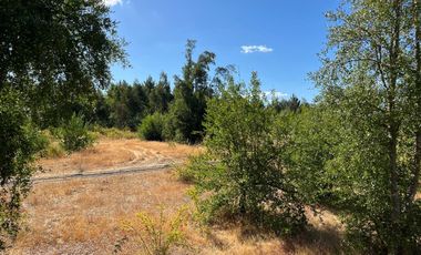 PARCELAS CON AGUA POTABLE,  EMPALME ELECTRICO  Y ACCESO A RÍO BIOBÍO