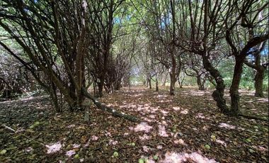 ATENCION INVERSIONISTAS 5.9 HECTAREAS A ORILLAS DE RIO LAJA