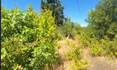 ATENCION INVERSIONISTAS 5.9 HECTAREAS A ORILLAS DE RIO LAJA