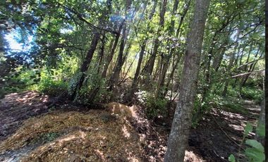 ATENCION INVERSIONISTAS 5.9 HECTAREAS A ORILLAS DE RIO LAJA